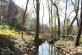 Yildiz Park Walking Tour with Audio Guide