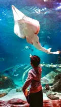 Istanbul Aquarium Entry Ticket