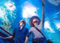 Emaar Aquarium and Underwater Zoo Skip-the-Ticket-Line Entry