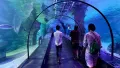 ViaSea Aquarium Entry Ticket