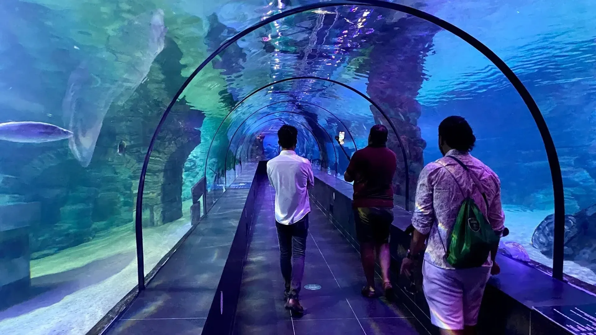 ViaSea Aquarium Entry Ticket