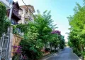 Burgazada Island Walking Tour with Audio Guide