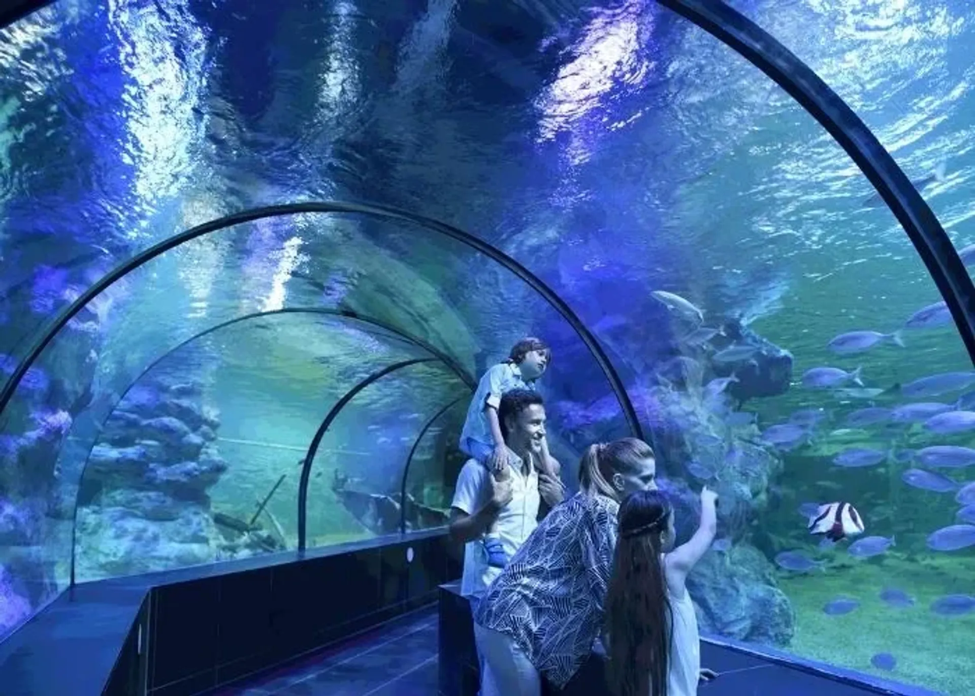 ViaSea Aquarium Entry Ticket