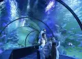 ViaSea Aquarium Entry Ticket