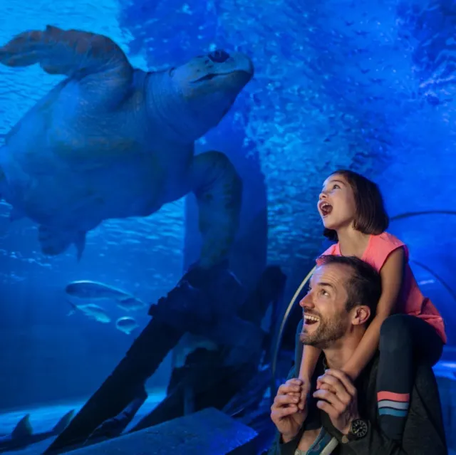 Istanbul Aquarium Entry Ticket