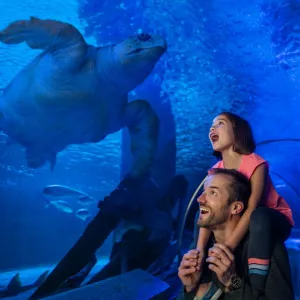 Istanbul Aquarium Entry Ticket