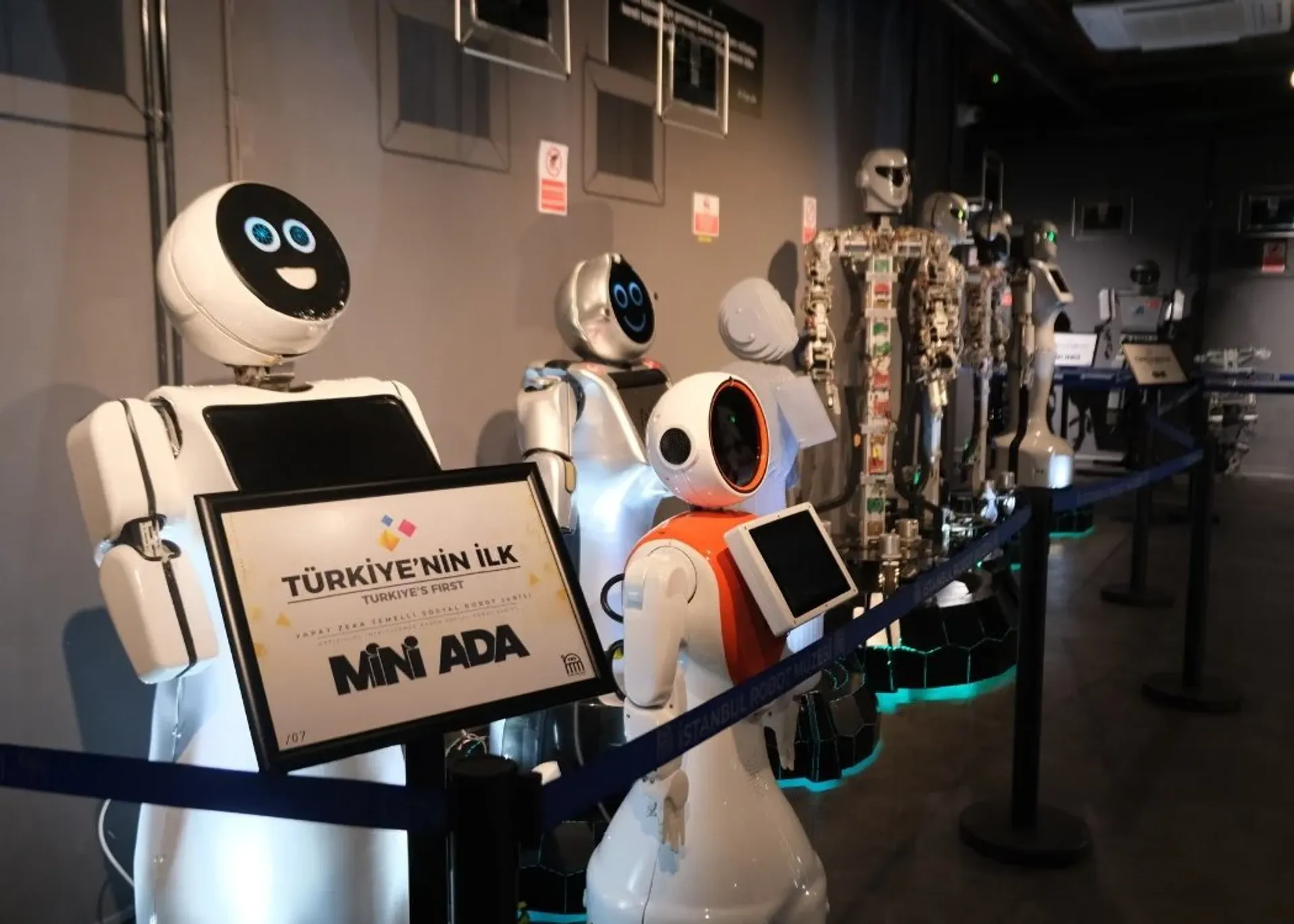 Istanbul Robot Museum Experience Entry Ticket