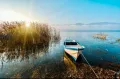 Sapanca Lake & Masukiye Guided Day Trip