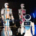 Istanbul Robot Museum Experience Entry Ticket