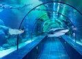 ViaSea Aquarium Entry Ticket