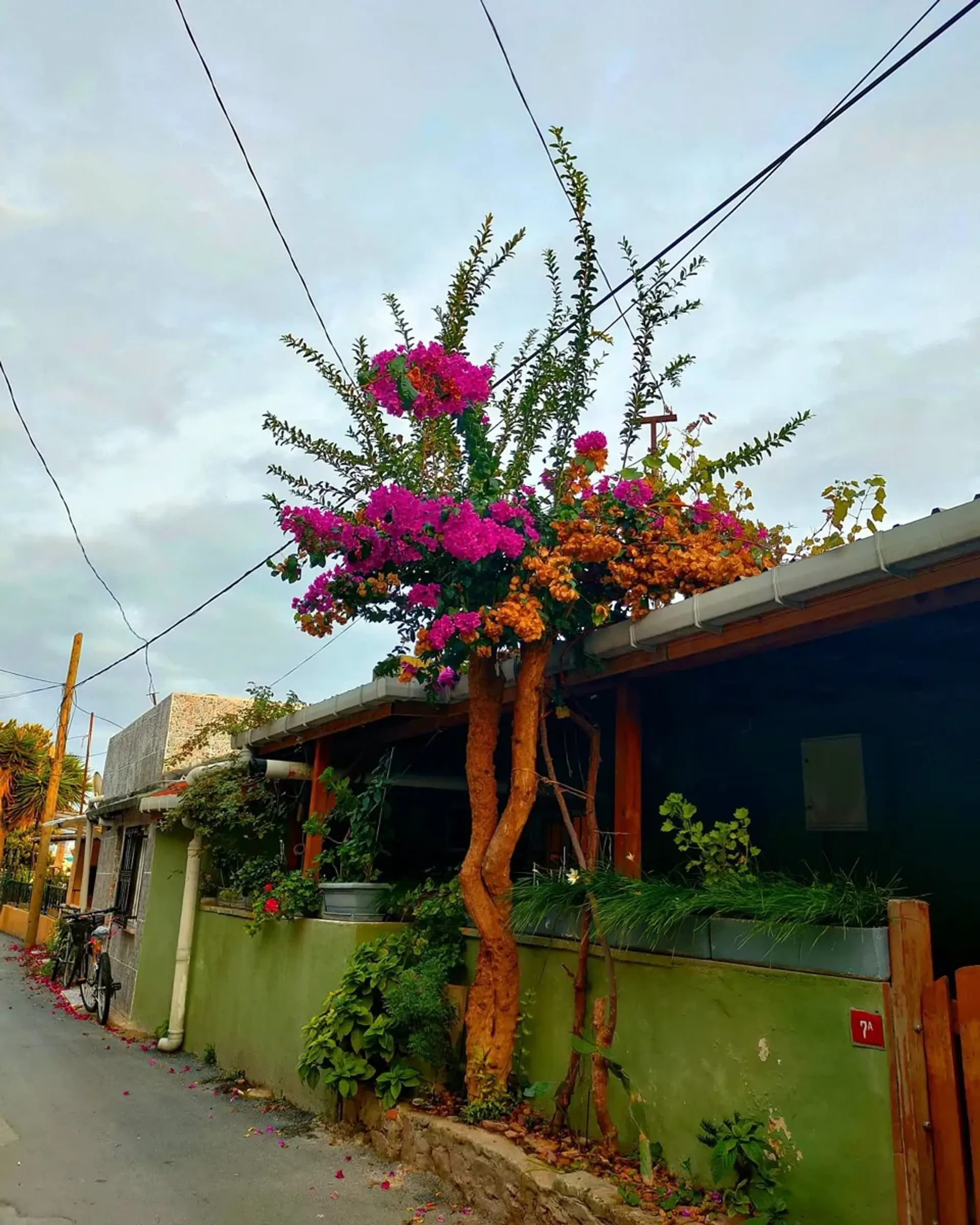 Kinaliada Island Walking Tour with Audio Guide