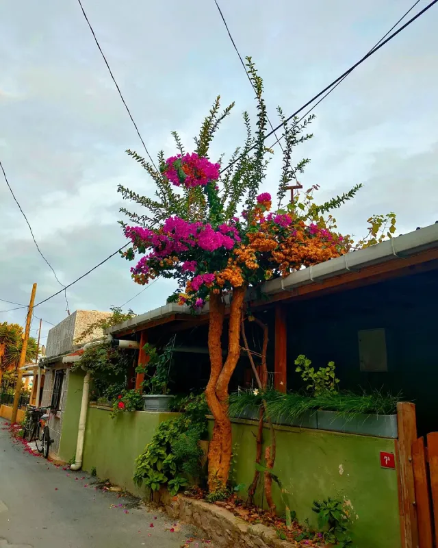 Kinaliada Island Walking Tour with Audio Guide