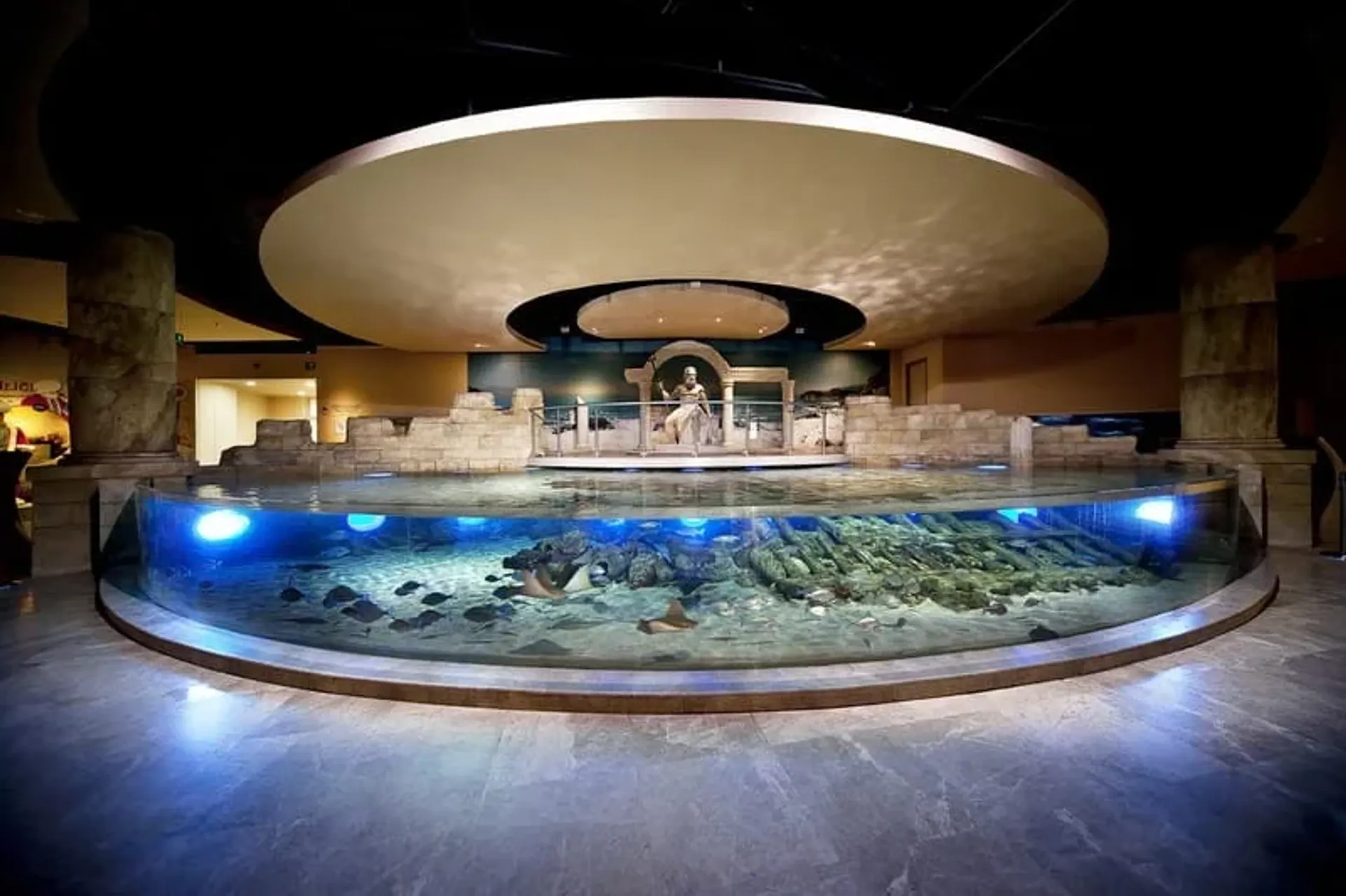Istanbul Aquarium Entry Ticket