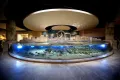 Istanbul Aquarium Entry Ticket