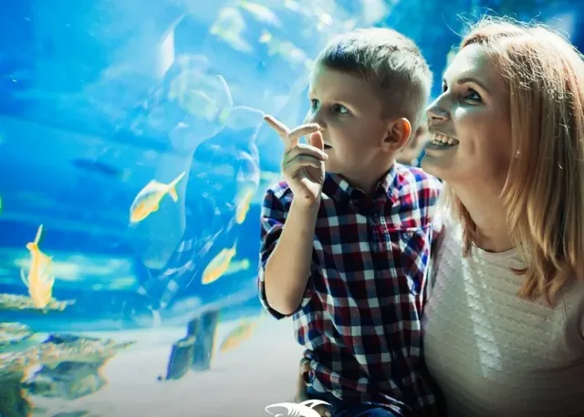 Emaar Aquarium and Underwater Zoo Skip-the-Ticket-Line Entry