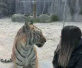 Lion Park Zoo Entry