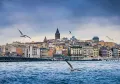 Golden Horn & Bosphorus Sightseeing Cruise with Audio Guide