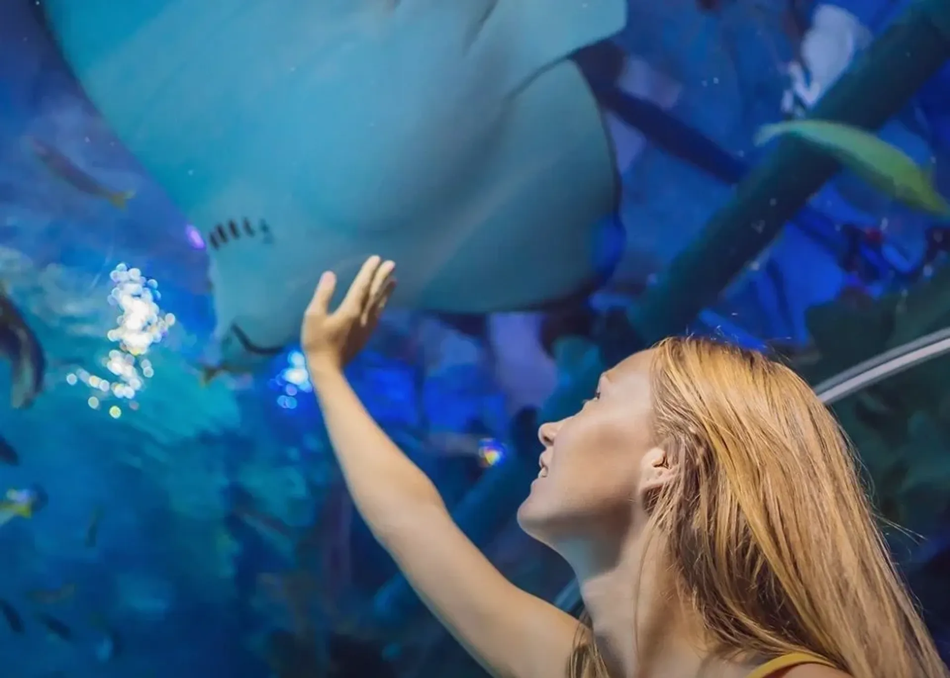 Emaar Aquarium and Underwater Zoo Skip-the-Ticket-Line Entry