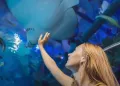 Emaar Aquarium and Underwater Zoo Skip-the-Ticket-Line Entry