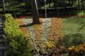 Yildiz Park Walking Tour with Audio Guide