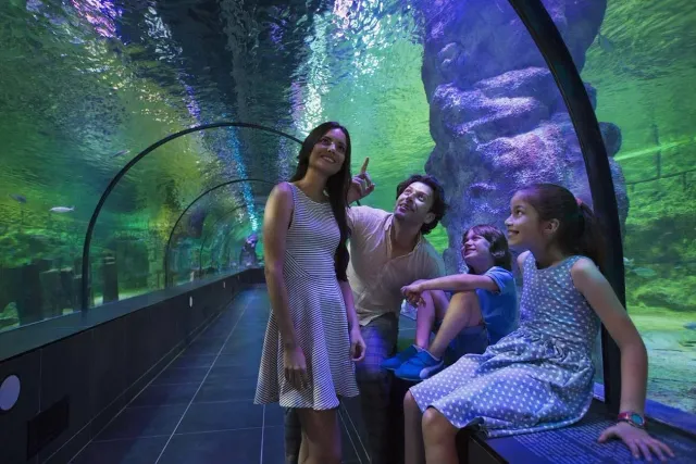 ViaSea Aquarium Entry Ticket
