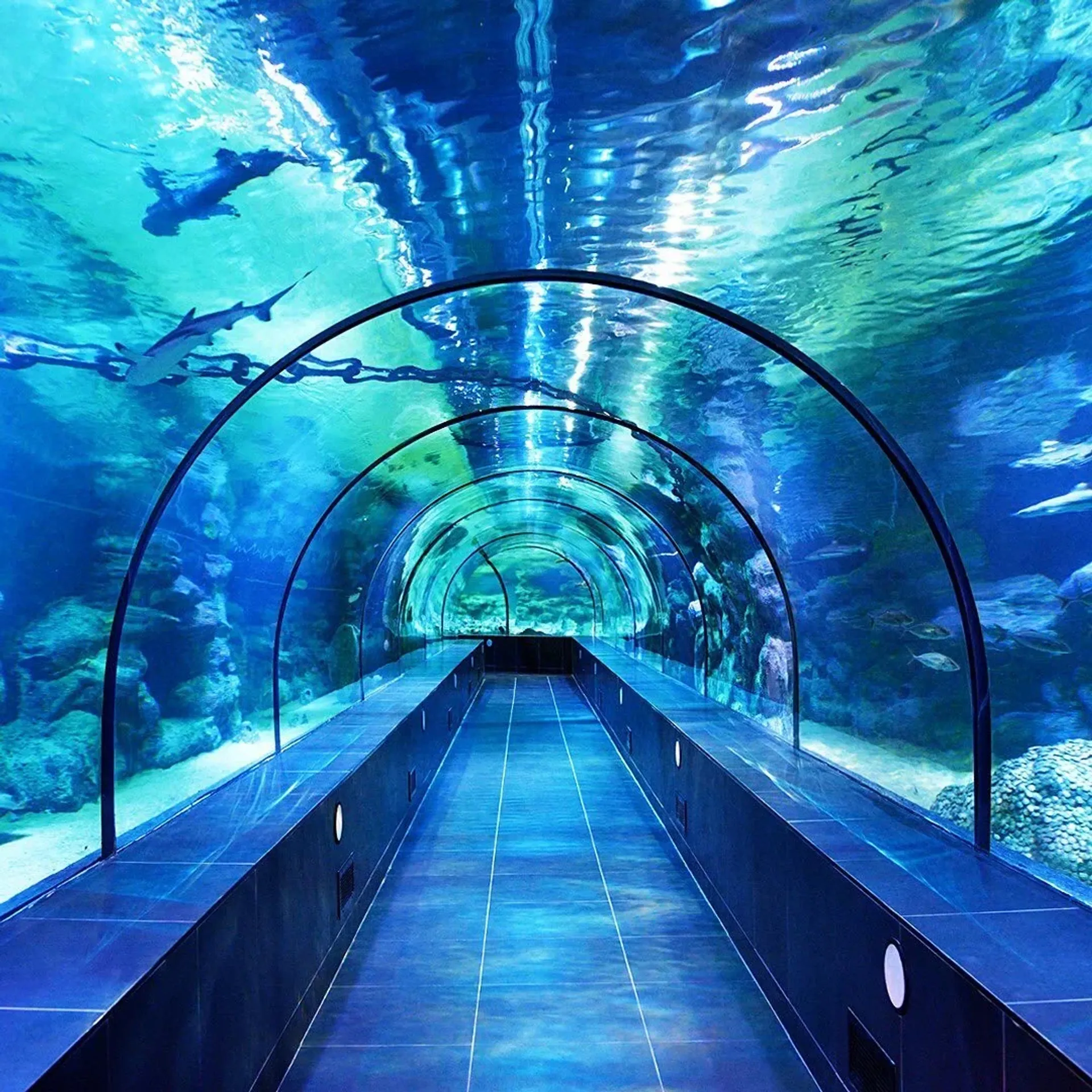 ViaSea Aquarium Entry Ticket