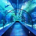 ViaSea Aquarium Entry Ticket
