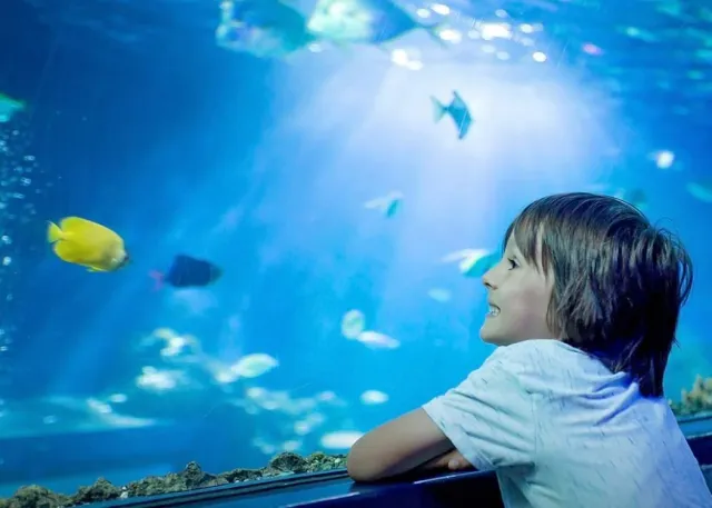 Emaar Aquarium and Underwater Zoo Skip-the-Ticket-Line Entry