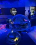 Istanbul Aquarium Entry Ticket
