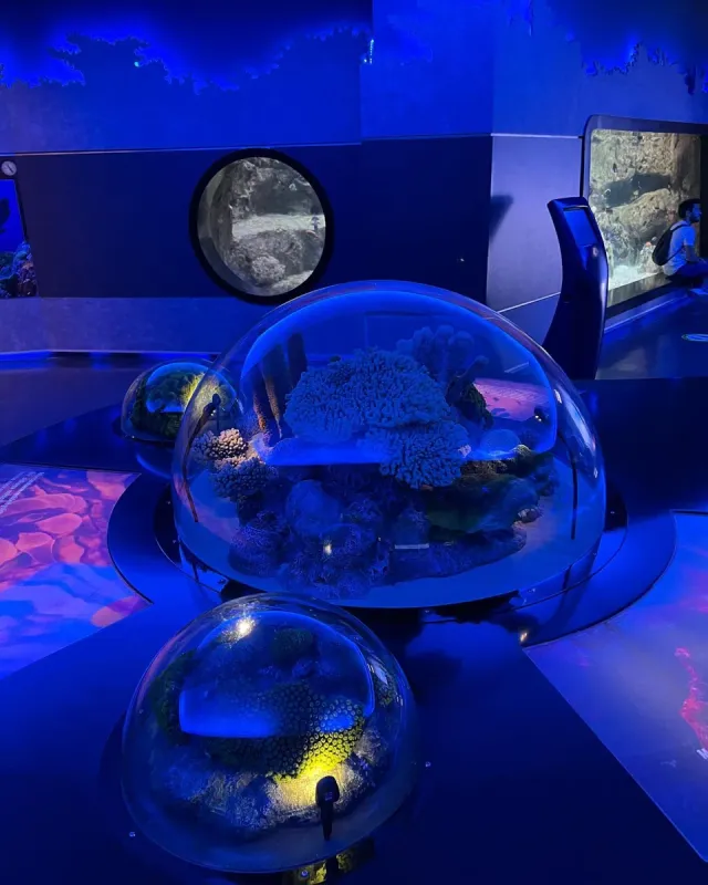 Istanbul Aquarium Entry Ticket