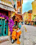 Fener and Balat Walking Tour with Audio Guide