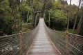 Yildiz Park Walking Tour with Audio Guide