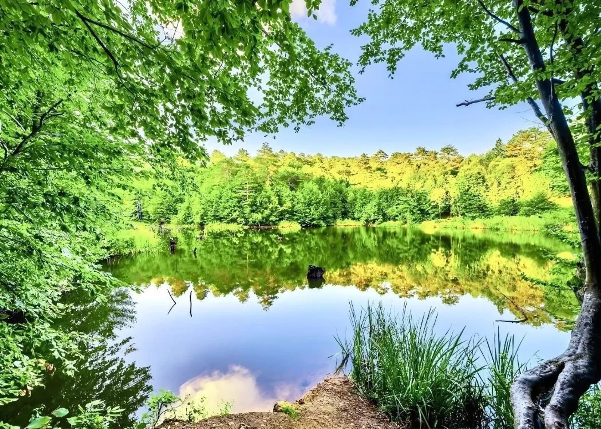 Sapanca Lake & Masukiye Guided Day Trip