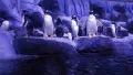 Istanbul Aquarium Entry Ticket