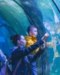 ViaSea Aquarium Entry Ticket