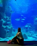 Istanbul Aquarium Entry Ticket