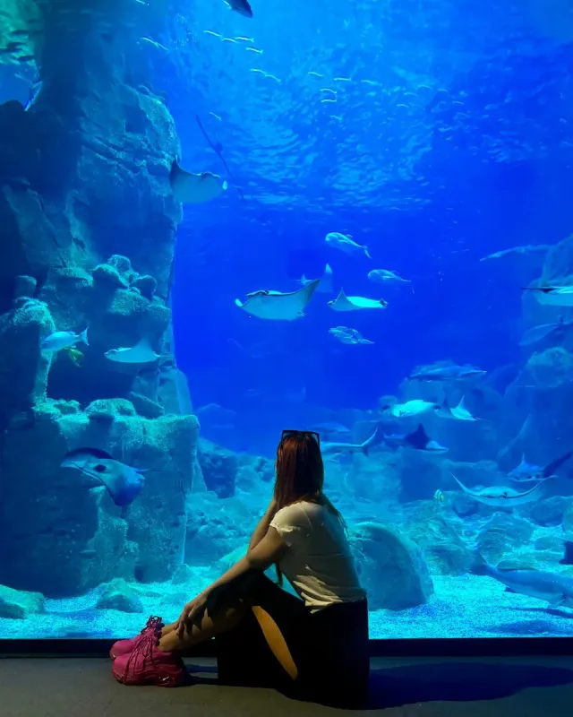 Istanbul Aquarium Entry Ticket