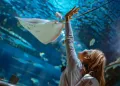 Emaar Aquarium and Underwater Zoo Skip-the-Ticket-Line Entry