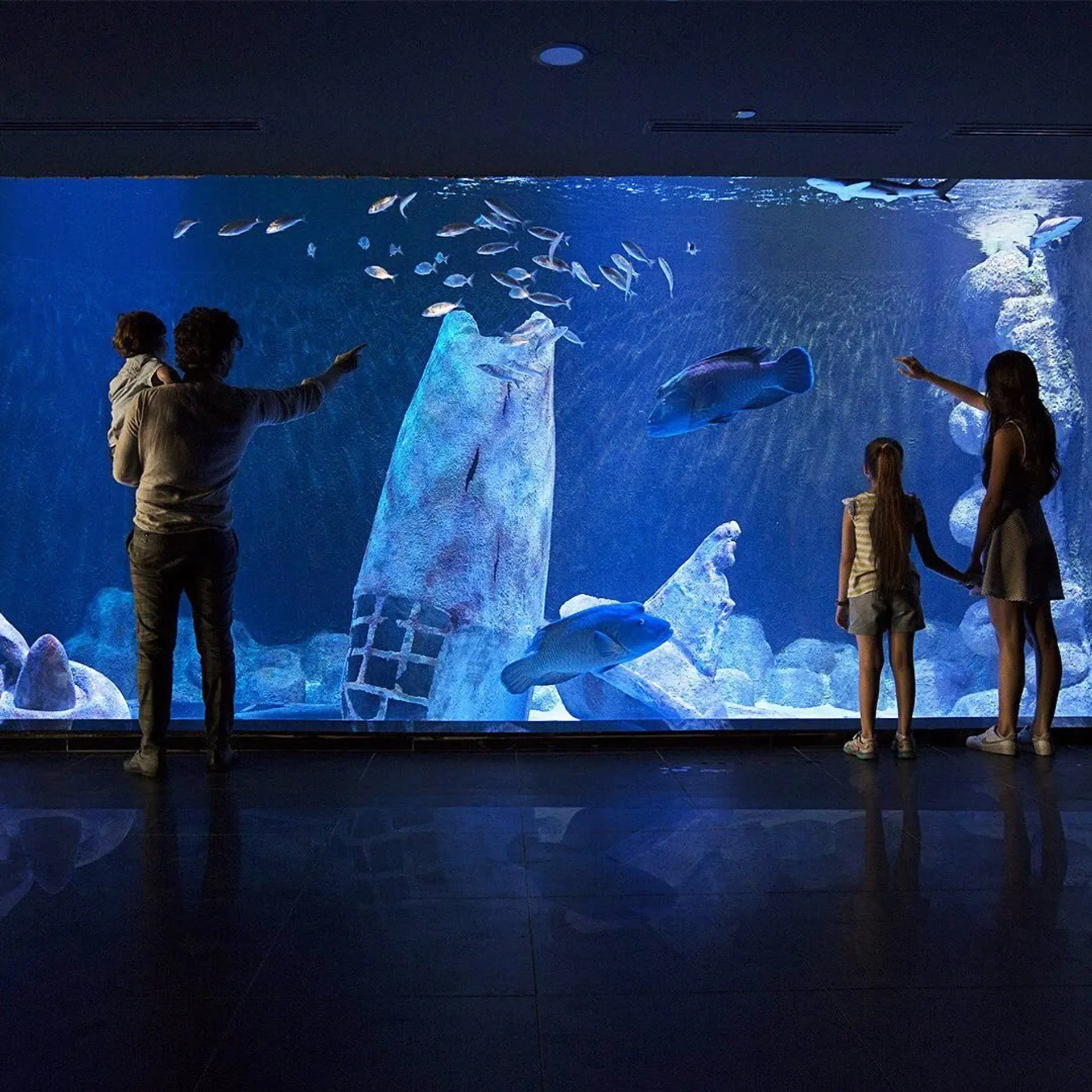 ViaSea Aquarium Entry Ticket
