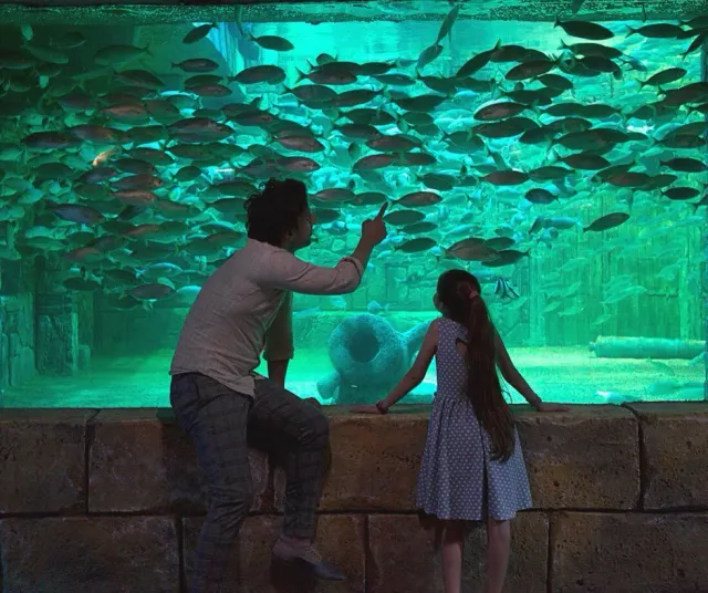 ViaSea Aquarium Entry Ticket