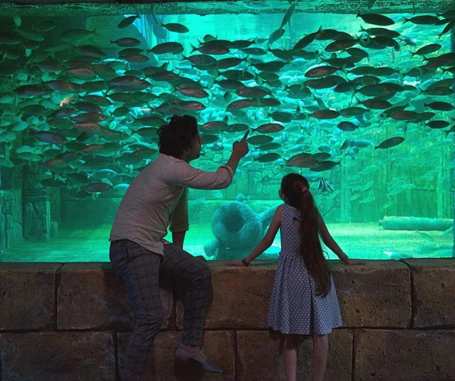ViaSea Aquarium Entry Ticket