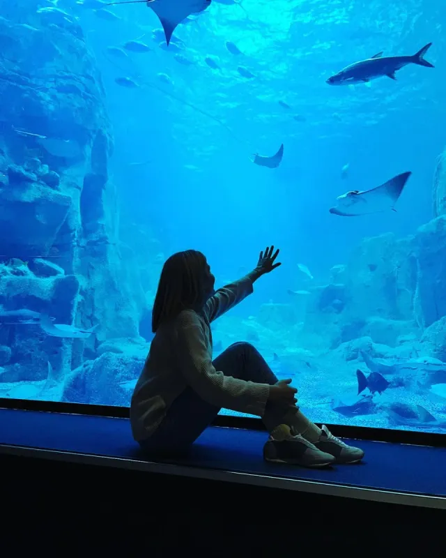 Istanbul Aquarium Entry Ticket