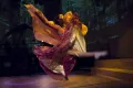 Rhythm of the Dance Show Ticket