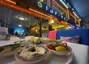 Authentic Turkish Cuisine Tasting Experience Under Galata Bridge