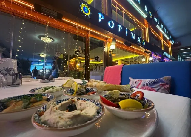 Authentic Turkish Cuisine Tasting Experience Under Galata Bridge
