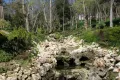Yildiz Park Walking Tour with Audio Guide