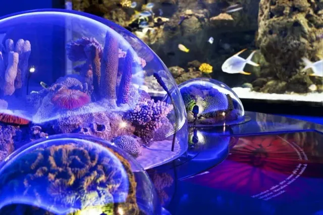 Istanbul Aquarium Entry Ticket
