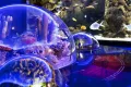 Istanbul Aquarium Entry Ticket