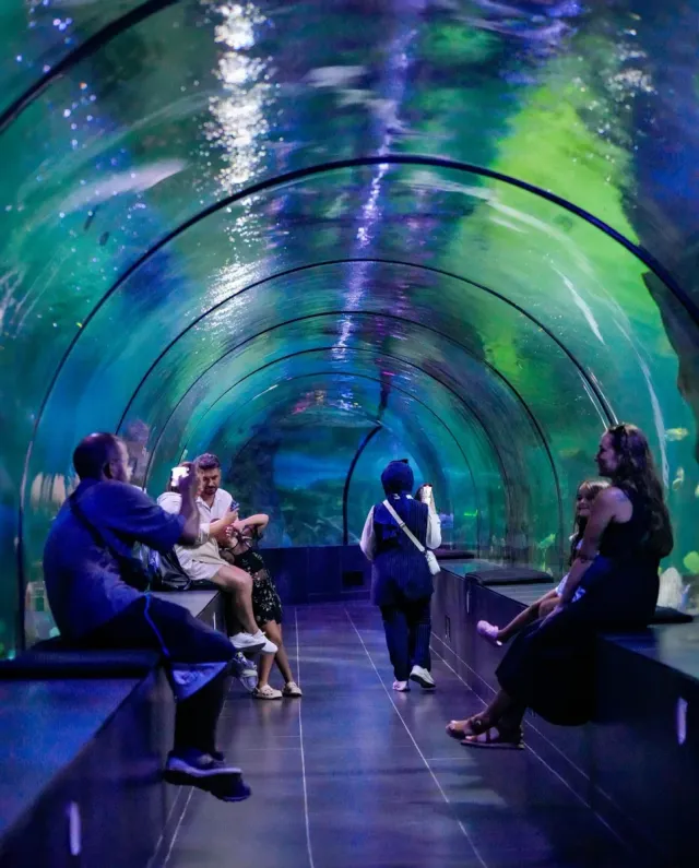 ViaSea Aquarium Entry Ticket
