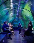 ViaSea Aquarium Entry Ticket